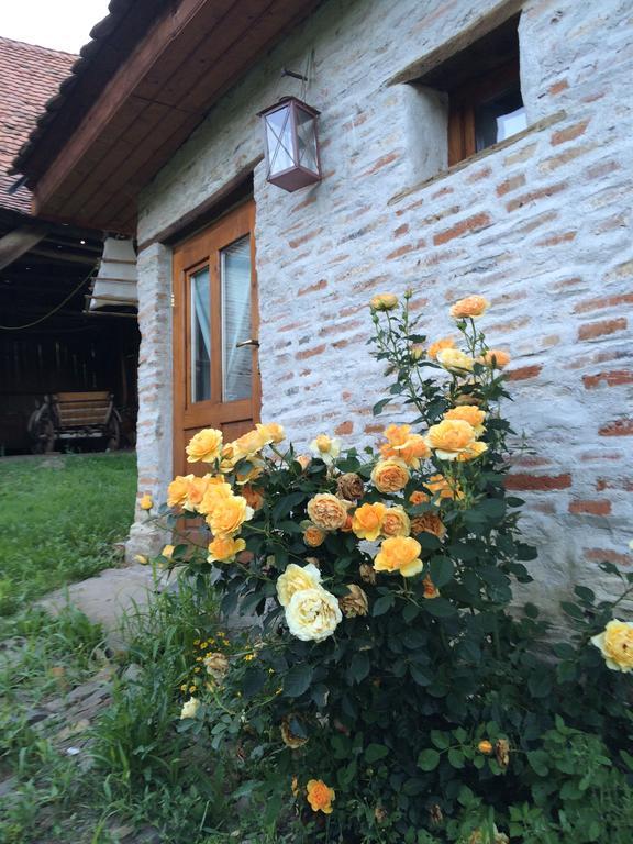 Dominic Boutique - Gardener'S Cottage Cloasterf Bagian luar foto